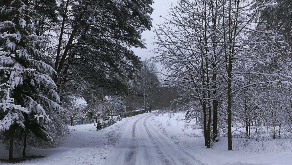 Kelias į sodus žiemą