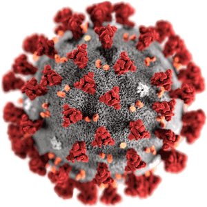 SARS-CoV-2 (COVID-19) koronavirusas